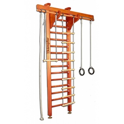 Деревянная шведская стенка Kampfer Wooden Ladder Ceiling - купить по специальной цене