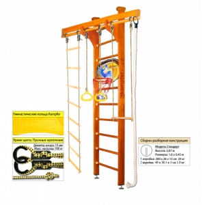 Деревянная шведская стенка Kampfer Wooden Ladder Ceiling Basketball Shield