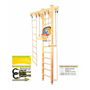 Деревянная шведская стенка Kampfer Wooden Ladder Ceiling Basketball Shield 3 м