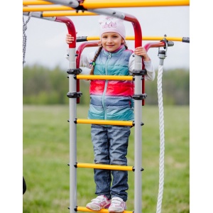 Уличная шведская стенка Romana Fitness R.103.20.04